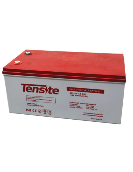 BATERIA GEL 12V 300AH