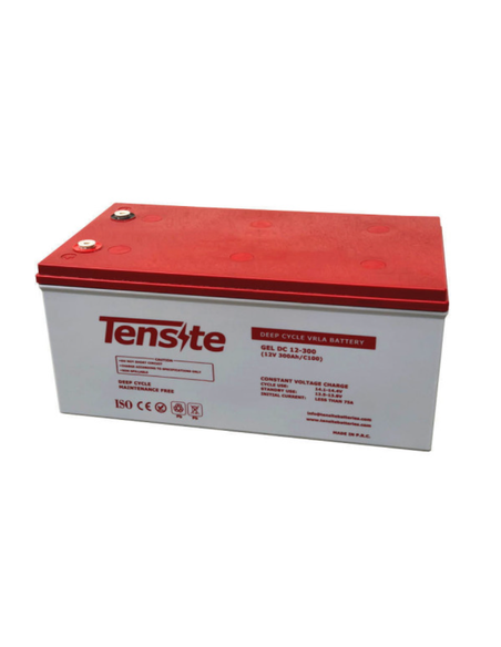 BATERIA GEL 12V 300AH