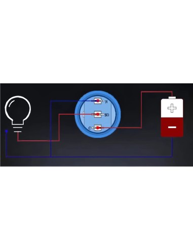 INTERRUPTOR BASCULANTE ACERO INOX 22MM 12/24 20A